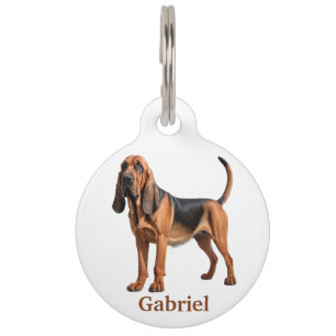 Bloodhound Personalise Pet Tag