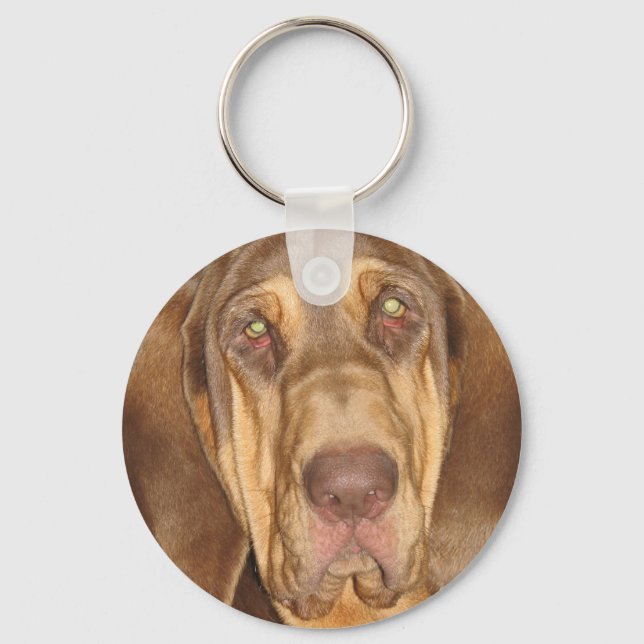Bloodhound Photograph Keychain (Front)