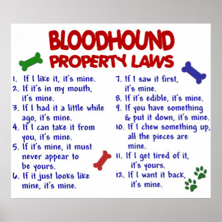 BLOODHOUND PL2 POSTER