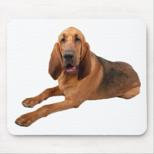 Bloodhound Puppy Dogs Rule Mousepad