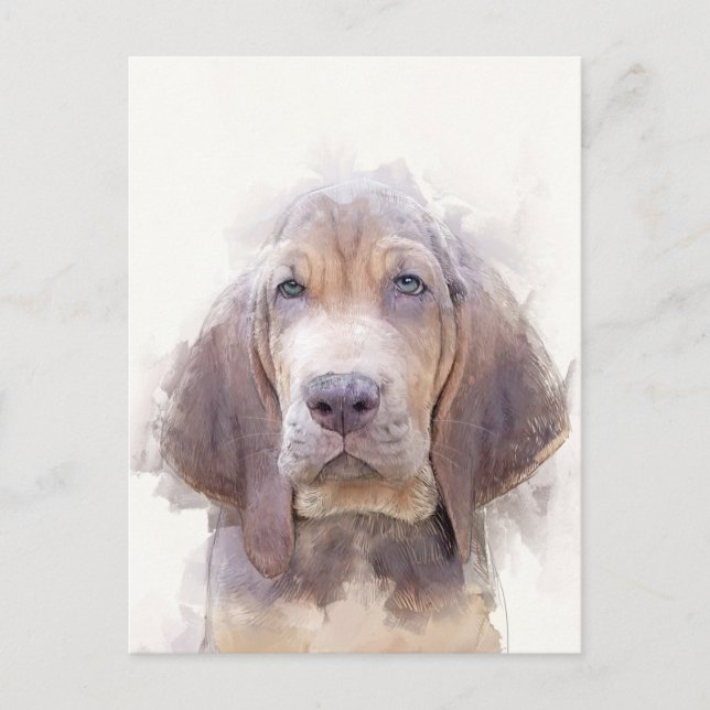Bloodhound Puppy Portrait Postcard (Front)