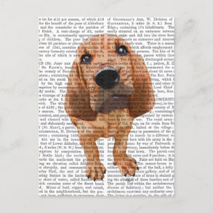 Bloodhound Puppy Postcard
