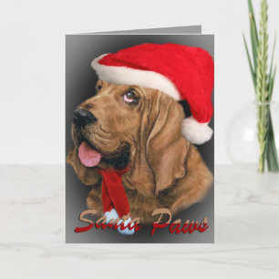Bloodhound Santa Paws cards