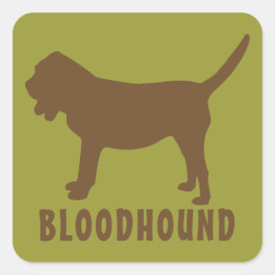 Bloodhound Square Sticker