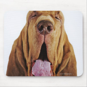 Bloodhound (St. Hubert Hound) with closed eyes, Mouse Mat
