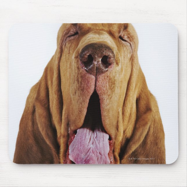 Bloodhound (St. Hubert Hound) with closed eyes, Mouse Mat (Front)