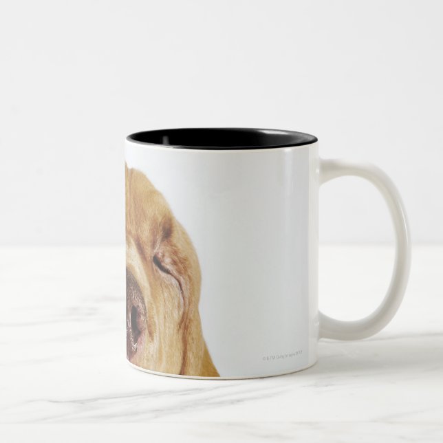Bloodhound (St. Hubert Hound) with closed eyes, Two-Tone Coffee Mug (Right)