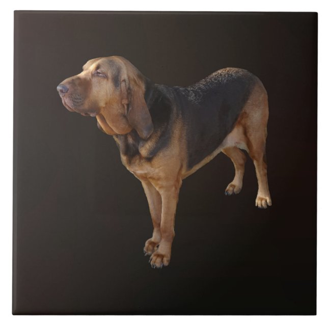 Bloodhound Tile (Front)