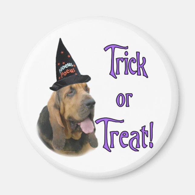 Bloodhound Trick Magnet (Front)