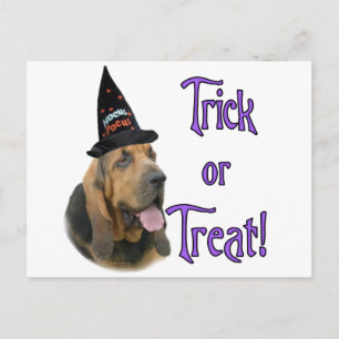 Bloodhound Trick Postcard