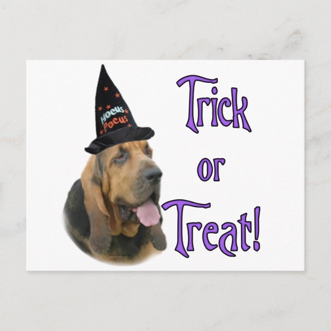 Bloodhound Trick Postcard (Front)