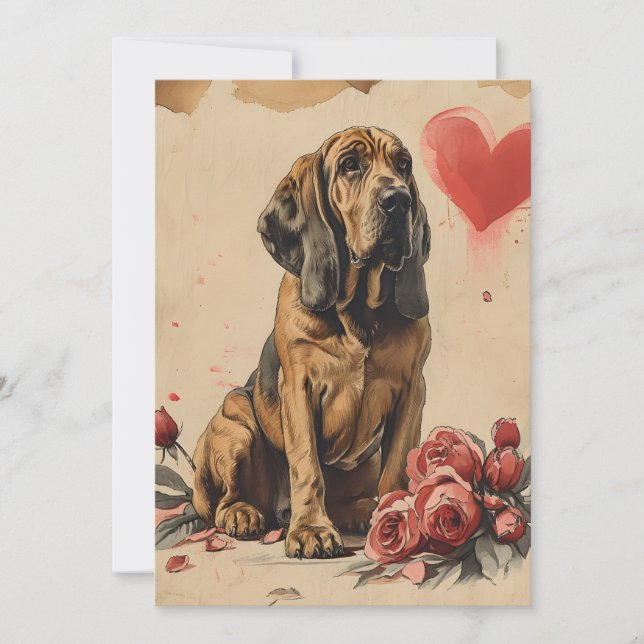 Bloodhound vintage Valentine's Day  Holiday Card (Front)
