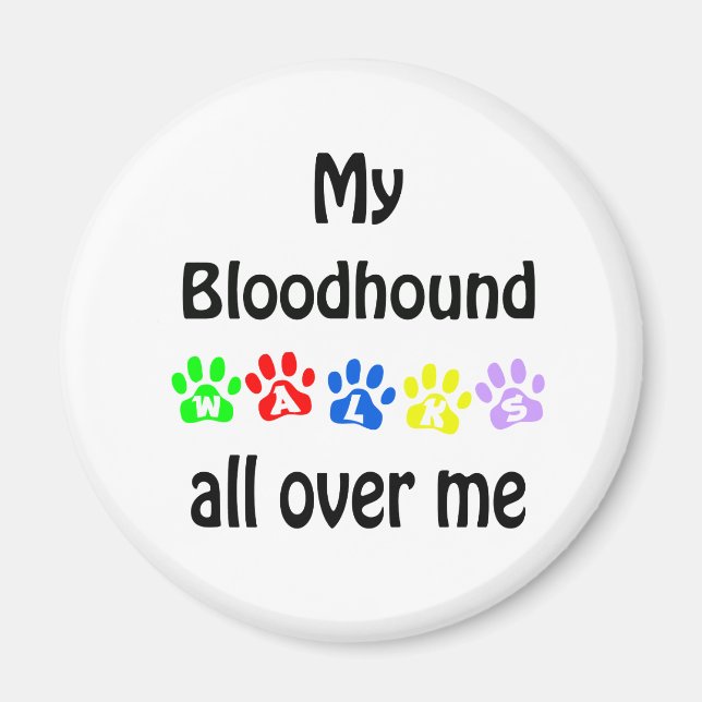Bloodhound Walks Design Magnet (Front)