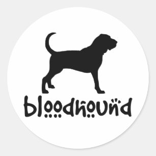 Bloodhound With Cool Text Classic Round Sticker