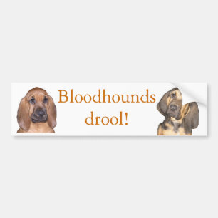 Bloodhounds drool! bumper sticker