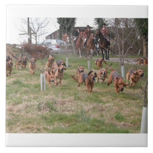 bloodhounds working.png tile