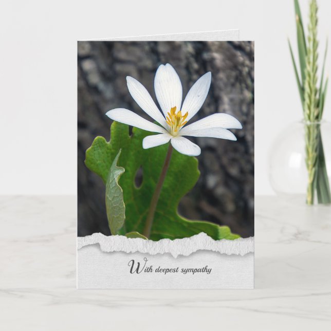 bloodroot wildflower sympathy card (Front)