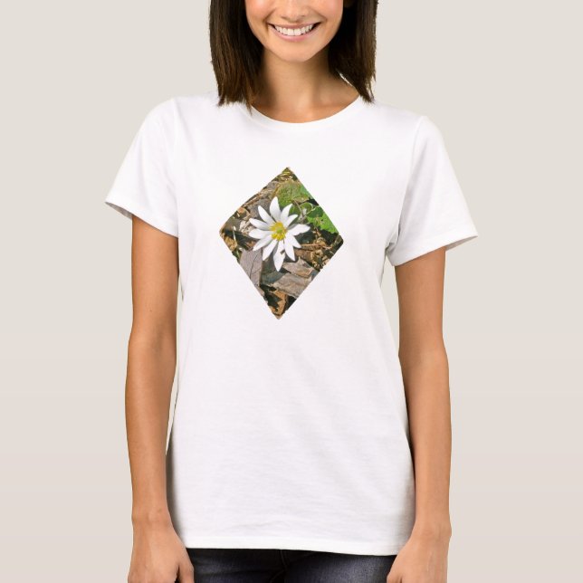 Bloodroot Wildflower T-Shirt (Front)