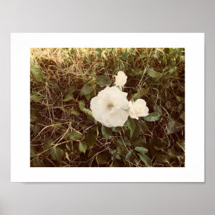 Bloom Color Photography Poster