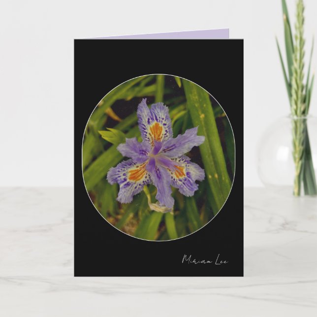 bloom in purple card (Front)