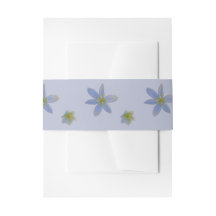 bloom in white