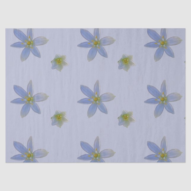 bloom in white  tissue paper (Front)