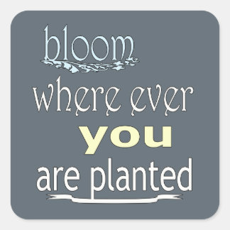 Bloom Where Ever You Are Planted Square Sticker