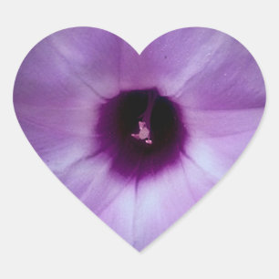 Bloom Where Planted Sticker