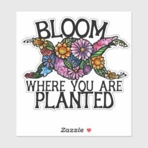 Bloom where you are planted