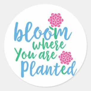 Bloom Where you are Planted Classic Round Sticker