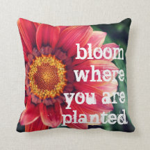 Bloom Where You Are Planted