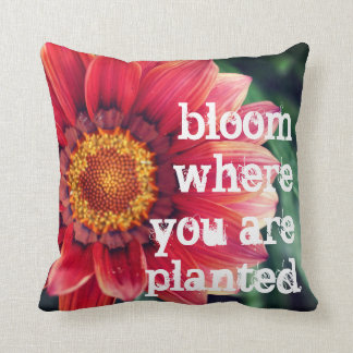 Bloom Where You Are Planted Cushion