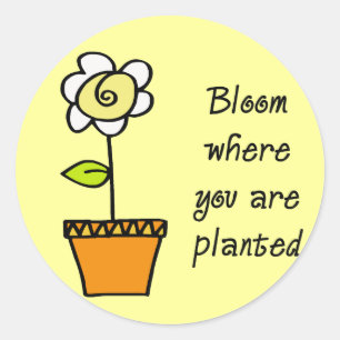 Bloom Where You Are Planted II Classic Round Sticker