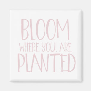 Bloom where you are planted magnet