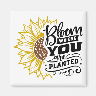 Bloom where you are planted magnet