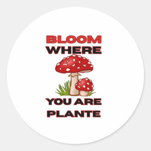 Bloom Where You Are Planted – Personal Growth & Se Classic Round Sticker