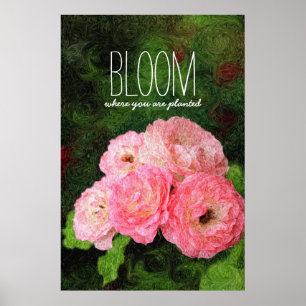 Bloom Where You Are Planted Pink Roses Inspiration Poster