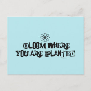 Bloom where you are planted. postcard