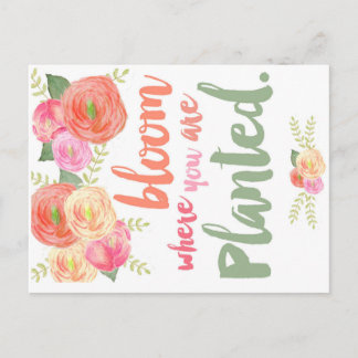 Bloom where you are planted postcard