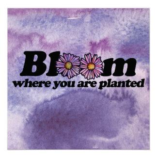 Bloom Where you are Planted Poster