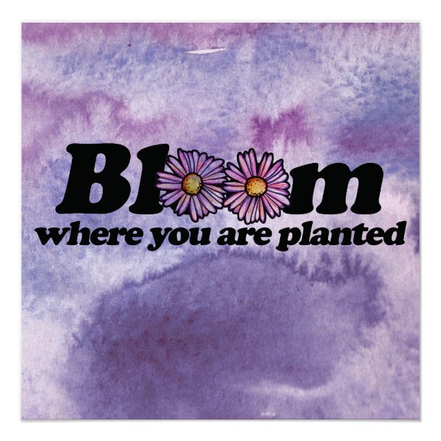 Bloom Where you are Planted                        Poster (Front)