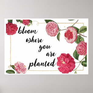 Bloom Where you are planted Poster