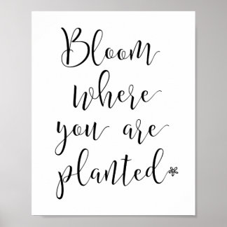 Bloom where you are planted Poster
