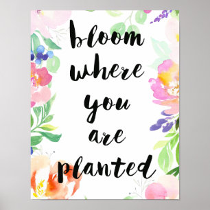 Bloom Where You Are Planted Watercolor Floral Poster