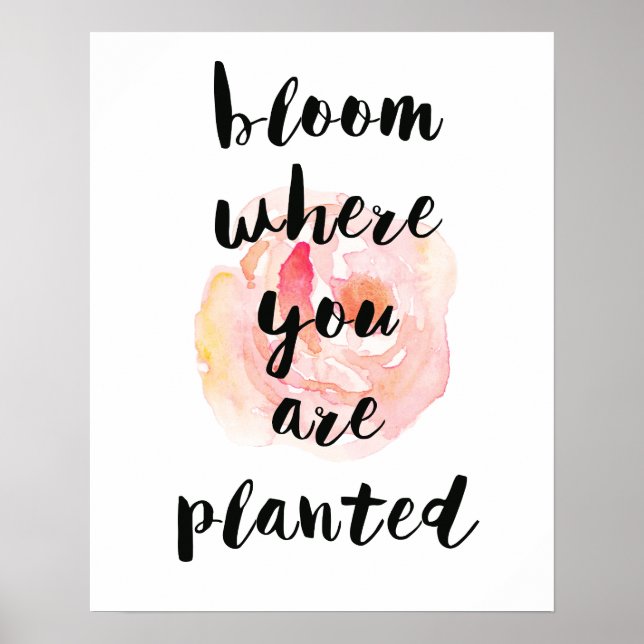 Bloom Where You Are Planted Watercolor Rose Poster (Front)