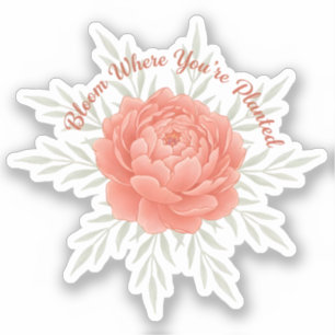 Bloom Where You’re Planted