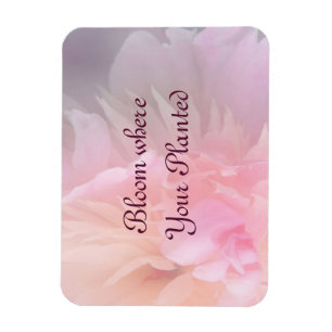 Bloom Where Your Planted Blush Floral Magnet