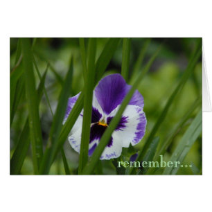 bloom where you're planted...
