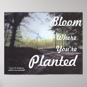 "BLOOM WHERE YOU'RE PLANTED" POSTER