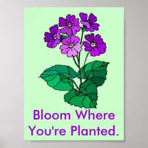 Bloom Where You're Planted Poster